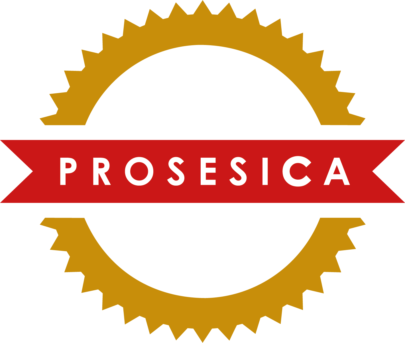 Prosesica